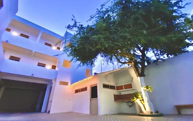 Отель Palo Verde Hotel Мексика, Кабо-Сан-Лукас - отзывы, цены и фото номеров - забронировать отель Palo Verde Hotel онлайн