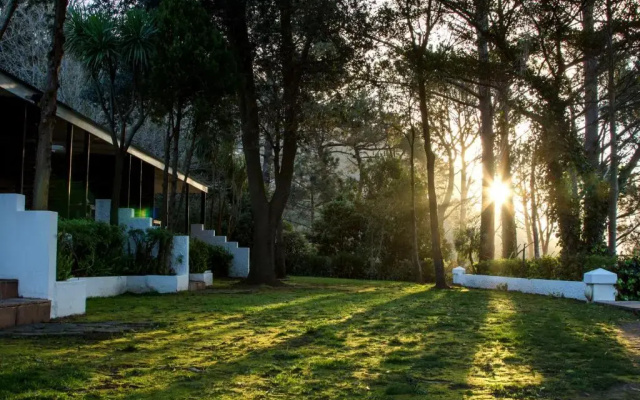 Silvermist Mountain Lodge and Wine Estate
