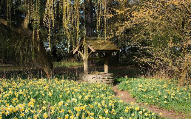 The Cedar Barn