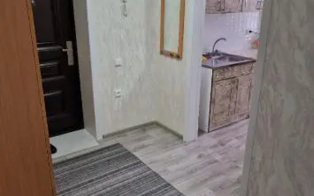 Свежая 2х комнатная квартира Центральный 47