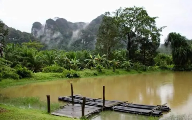 Khao Sok Homestay Resort