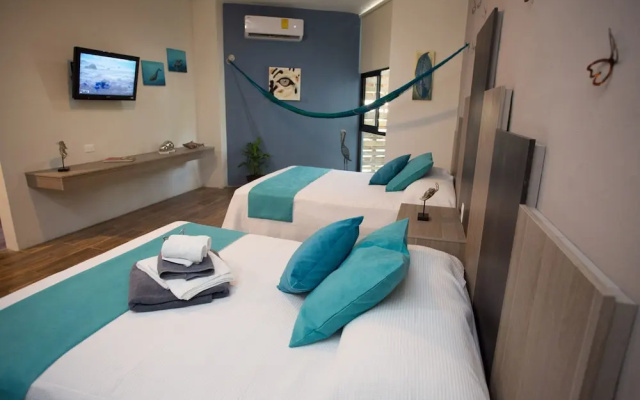 Suites and Art