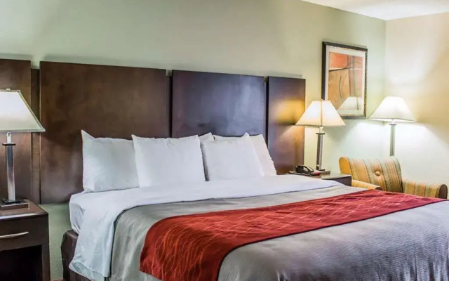 Comfort Inn Raleigh