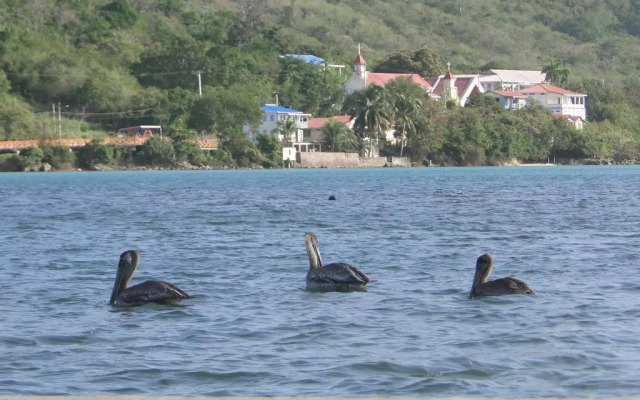Posada Sunshine Paradise
