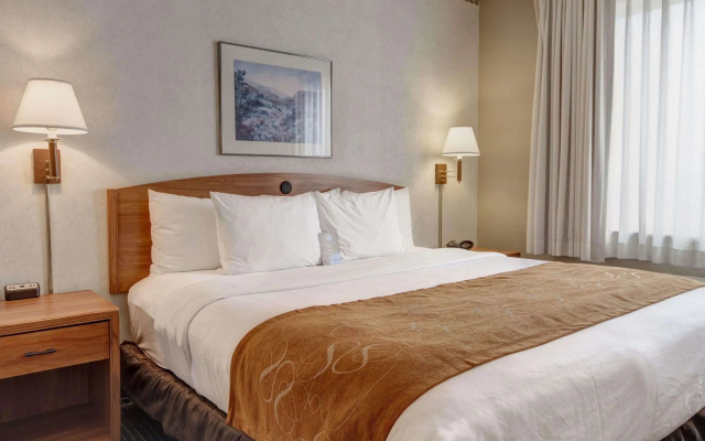 Comfort Suites University