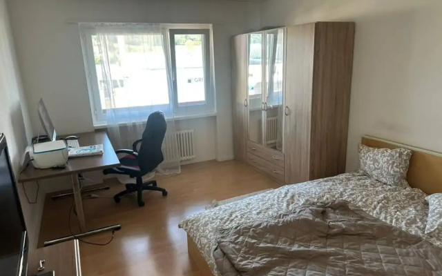 Cosy Apartment in Aadorf
