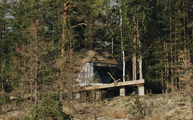 Вили Улей Карелия