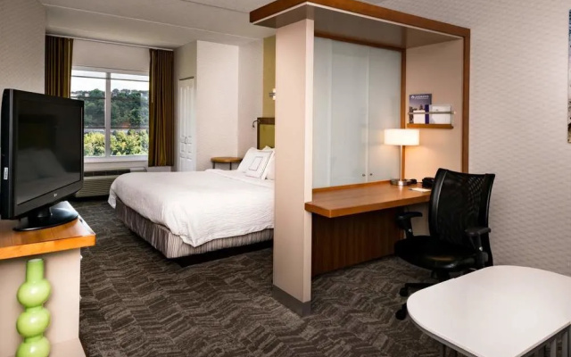 Springhill Suites Pittsburgh Southside Works