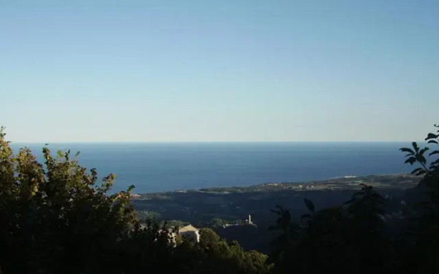 E Catarelle