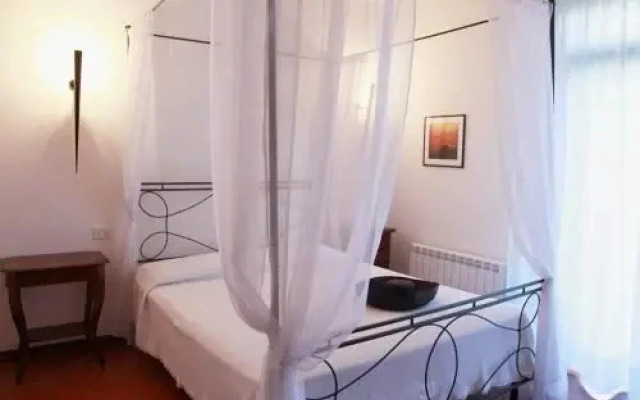 Elba Vip