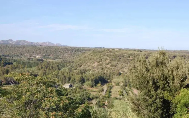 B&B Belvedere