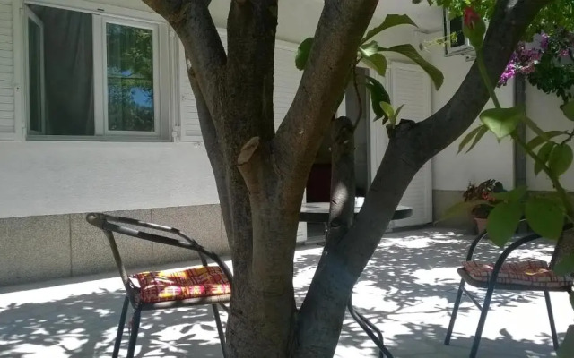 Apartment Anđelka