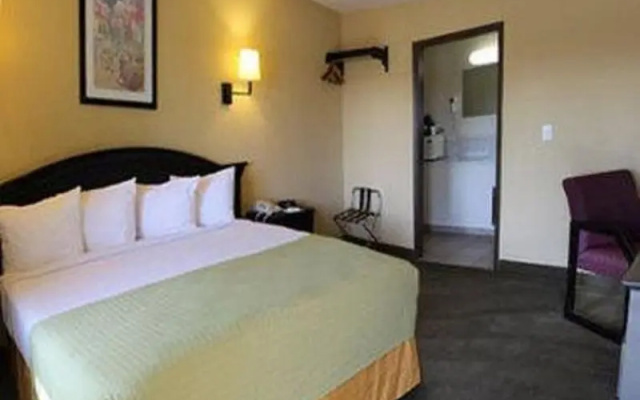 Hotel Primera