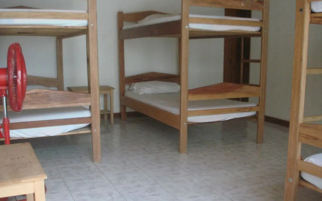 Hostal Hippilandia - Hostel