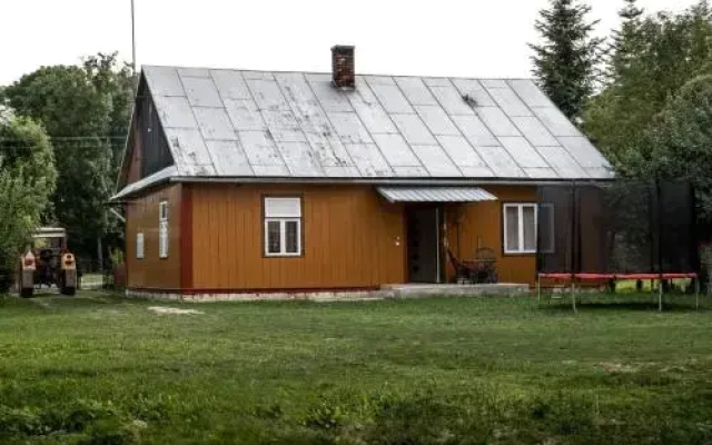 Dzikówka