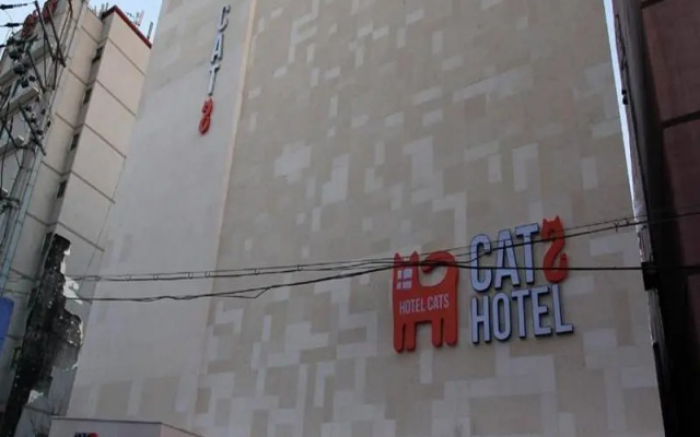 Hotel Cats Suwon