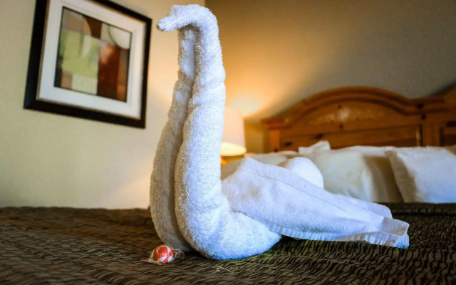 Suite Dreams Hotel