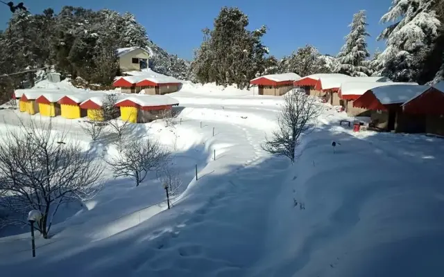 Himalayan Roots