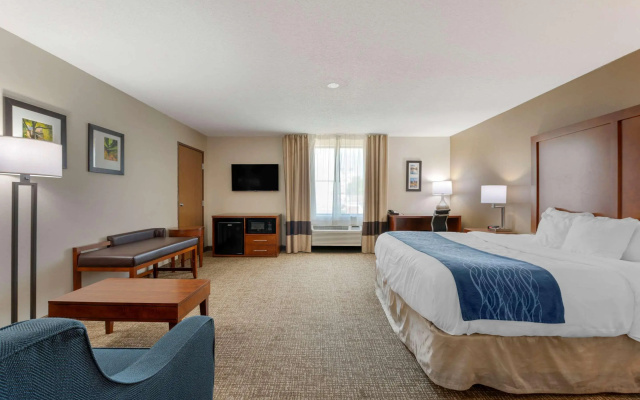 Comfort Inn Anderson South