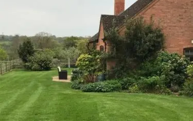 The Burrow