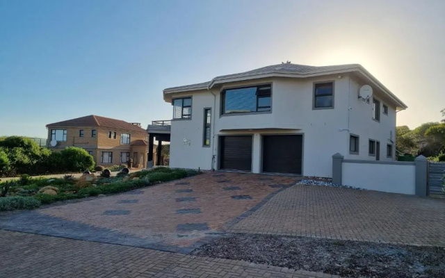 Gull's Stilbaai
