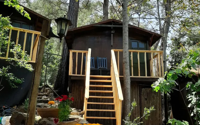 Altaris Bungalows Olympos
