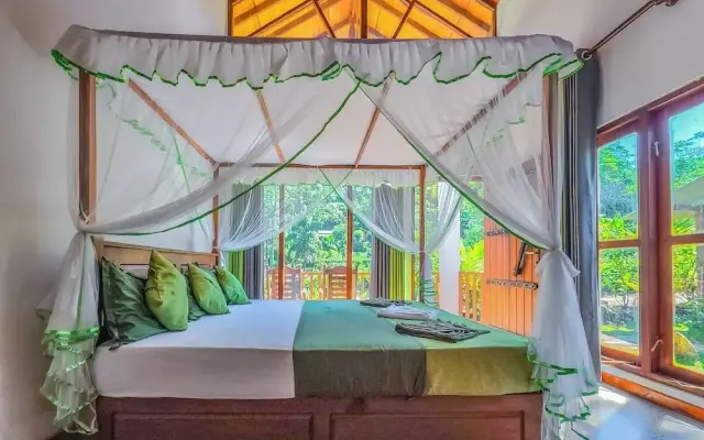 Rain Forest Vibe Sinharaja