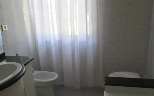 B&B Alvi
