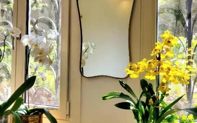 La Casa degli Specchi