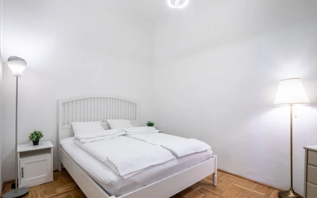 Huge Apartment in the city center