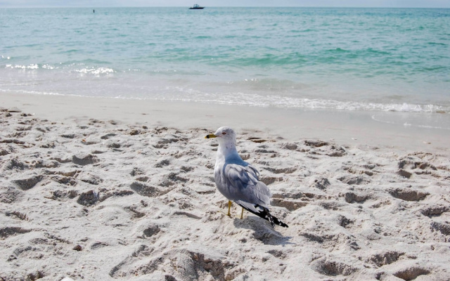 Naples Retreat w/ Saltwater Pool: 2 Mi to Beach!
