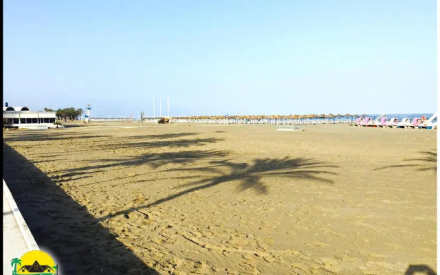 Palmeras del Golf - Torrequebrada