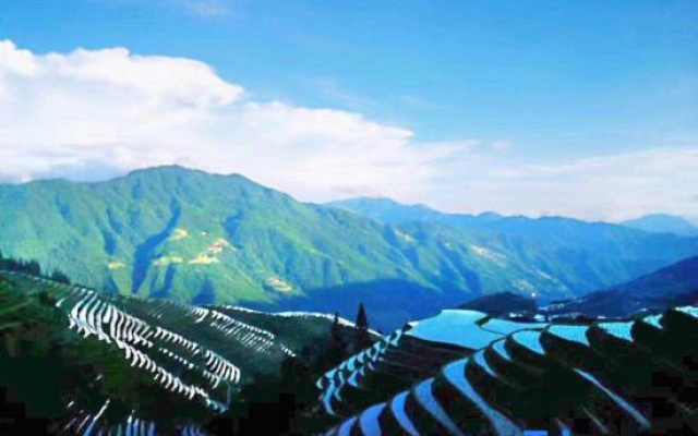 Longji Rice Terraces Ivy Homestay