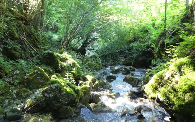 House By The Stream