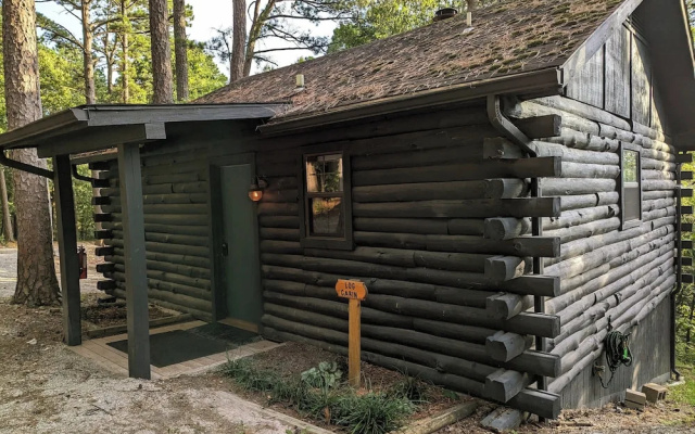 Loblolly Pines Adventure Camp