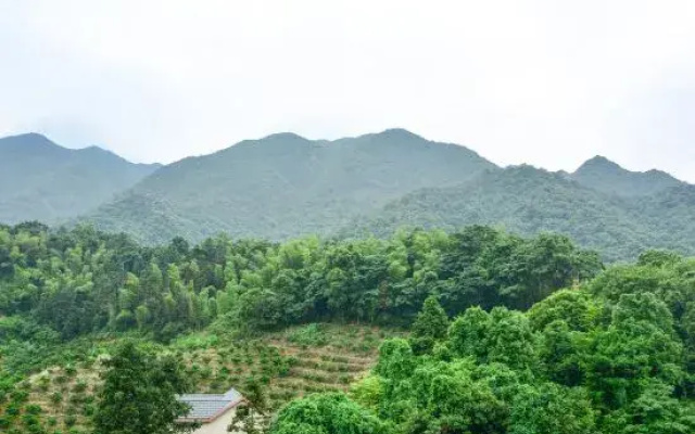 TOWO Holiday Homestay (Yongxiu Xihai)