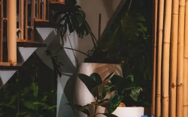 Wiwaka Bamboo House