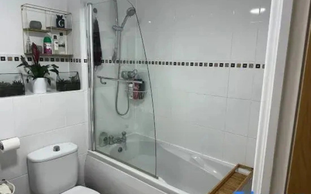 Entire flat by Principality Stadium (5 min walk)