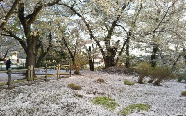 Iiyama - Hotel / Vacation STAY 55487