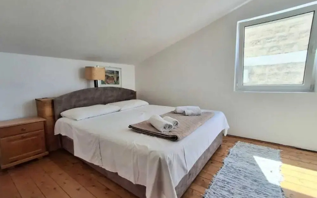 Apartments Andjus