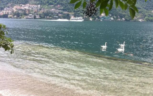 Careno directly to the Lake of Como