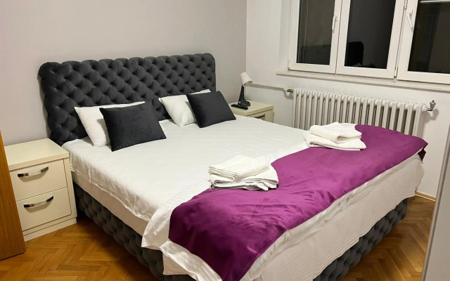 Apartment Vračar