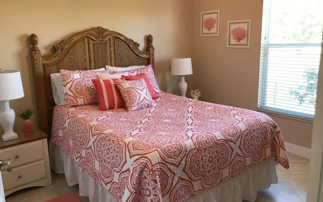 Coral Dreams 1500
