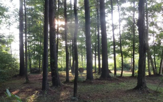 Tentrr - Restoration at Cattail Cove