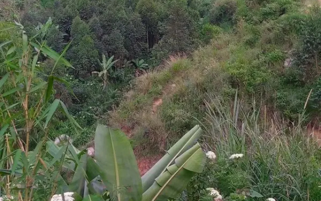 Karangura trekkers eco camp