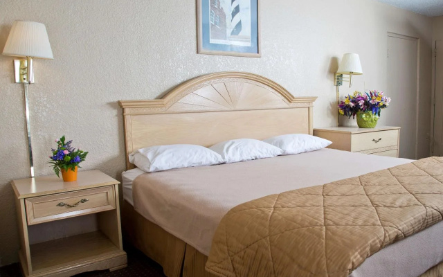 Budget Inn - Palatka