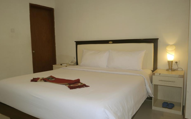 Ion Hotel