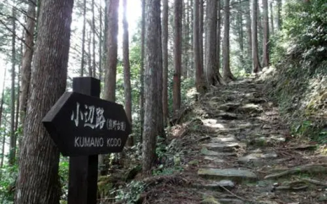 Totsukawa Onsen Minshuku Matsunoya
