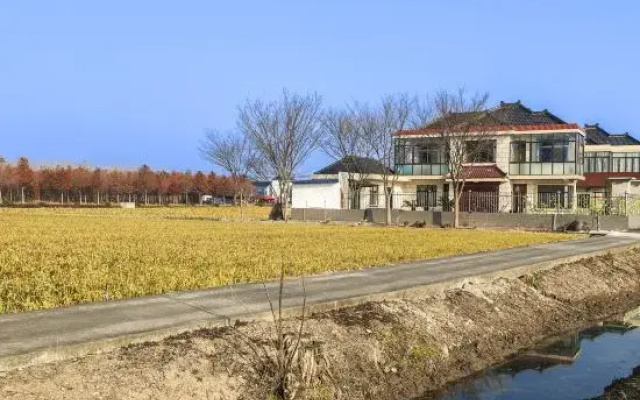 Shanghai Dongjia Yard Homestay