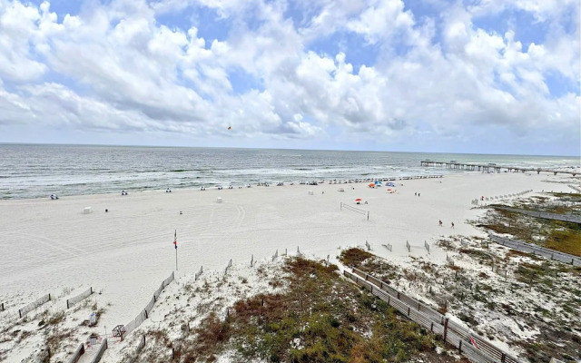The Palms